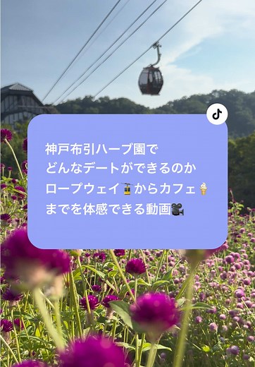 神戸布引ハーブ園での一人旅の魅力