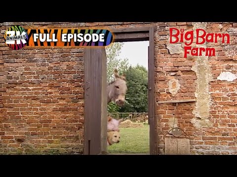 Dash, Digger & Gobo's Veggie Quest! - Big Barn Farm - Farm Animals