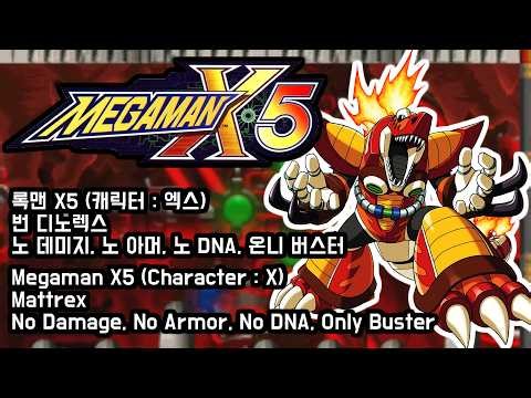 Megaman X5 Mattrex No Damage (Character : X)/ 록맨 X5 번 디노렉스 노 데미지 (캐릭터 : 엑스)