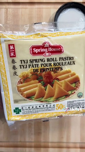 Pizza Spring Rolls Recipe