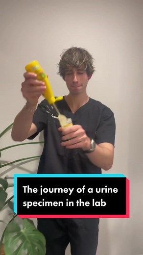 Understanding the Urine Test Process in the Lab