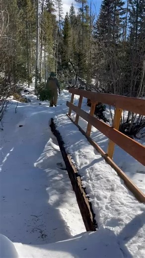 Buckaroo Tack House on Reels