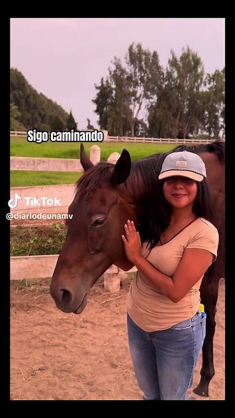 Canción del veterinario: Amor y Motivación