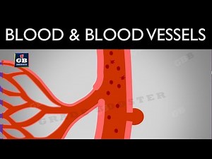 #Blood : blood vessels and lymph : life processes : ncert class 10 : science :biology :cbse syllabus Video Lecture