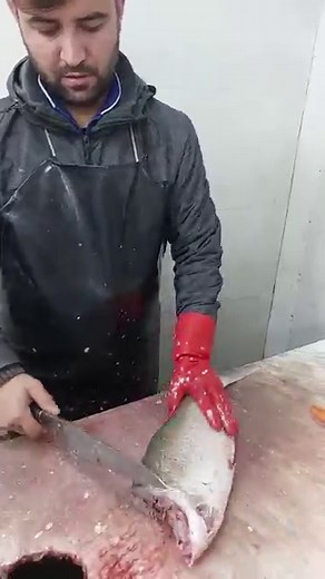 Fish Cutting Like a Pro! 🔥 Incredible Knife Skills You Need to See