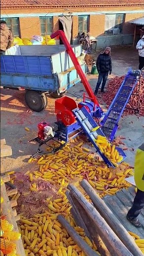 Perfect corn milling process using powerful efficient machinery