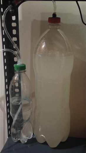 How to set up CO2 system for aquarium #AquariumCO2 #PlantedTank #Aquascape #CO2Setup #spellfish