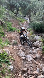 683K views · 11K reactions | Sometimes you gotta let it fly... 路‍♂️Use code JARVIS15 at 24MX for 15% EXTRA off everything until May3rd 2025 24MX #notjarvisstyle | Graham Jarvis | Facebook