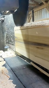 3.6M views · 35K reactions | Here’s just a nice smooth 24 inch diameter Tulip Poplar log that I cut through. My day was filled with cutting many others like this. I’ll have a camera that’s moving soon. #satisfying #asmr #Sharp #wood #lumberjack | Sawyerpool95 | Facebook