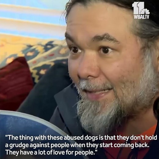 Abused dog, Florie, recovering well after horrific abuse