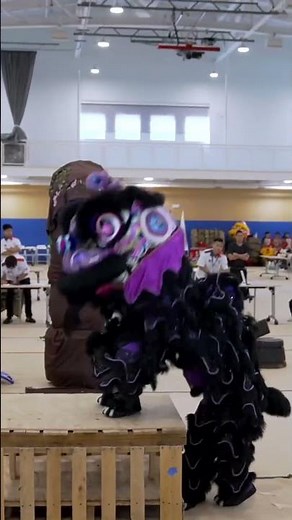 Eternals — 2025 USADLDSA Traditional Lion Dance Championship