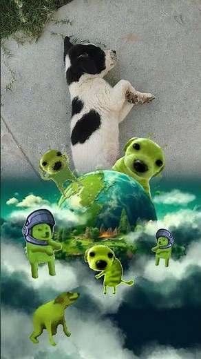 😭 alien dogs attack on the earth