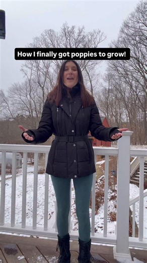 Gena Murray-Garden inspiration & pollinator love on Instagram: "Thank you for so many people joining me. I’m so excited that you all want to learn about gardening! After years of struggling to grow poppies, I was getting frustrated. I know so many gardeners have success sowing over snow, in spring, or planting in fall… but no matter how many times I tried, it just never worked for me. Most poppy varieties require a period of cold in order to germinate. I came across something called the ice cube