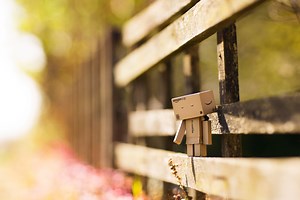 A Rebuttal, or: How to Succeed at Your 365 Project