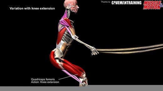 805K views · 2.9K reactions | Battling Ropes Double Arm Wave [FREE...