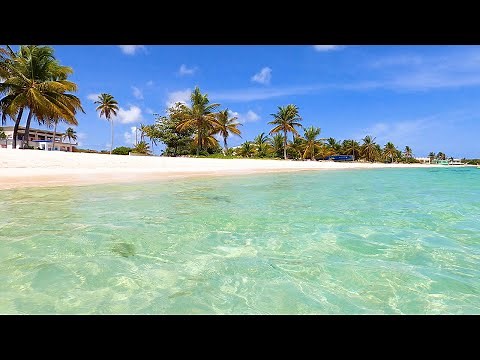 Tropical Calm: 3 Hours of Gentle Seas & Palm Trees (4K Video)