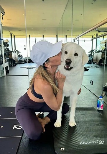 They show up to every workout. They stretch when we stretch. And sometimes… they steal the mat. Something special is coming for the ones who move with us—on four legs. 🐾 2/11 #pvolve #functionalfitness