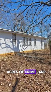 A hunter’s dream—40 acres of prime land with a cozy cabin, all for just $125,500! | Abandoned Places