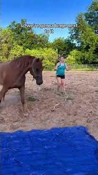 How I get my horse over something scary #horse #equestrianjourney #horseriding