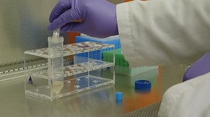 2.6K views | Many scientists use hepatocyte cells to conduct ADME, toxicology and other important research. This instructional video provides useful information and tips on thawing and plating hepatocytes | The Science Explorer | Facebook