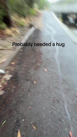 Running for Positivity: Why a Hug Can't Replace a Run