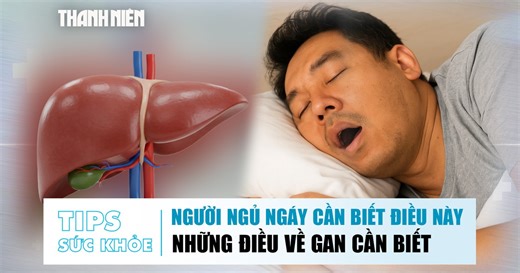 Bản tin sức ngày khỏe 9.12: Người ngủ ngáy cần biết điều này | Những điều về gan cần biết