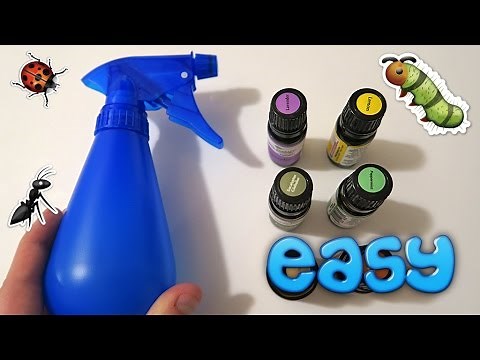 Spider Repellent Using Essential Oils - EASY