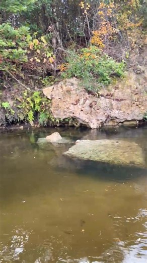 Fall colors and limestone on the creek 💦 🪨 🍁 🍂 | Gilmore Pictures