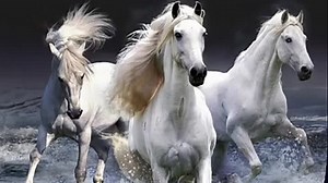 Chris Spheeris ~ Viva