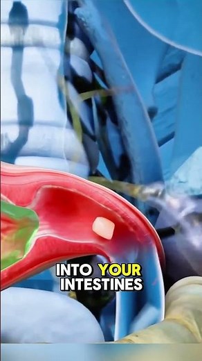 What will happen if you swallow a Teeth