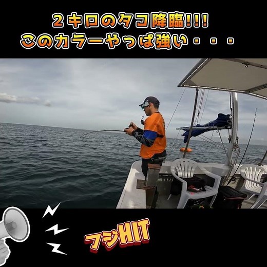 【明石船タコ】やっぱ強いこのカラーのエギ!!! #タコ釣り#タコ #釣りガール