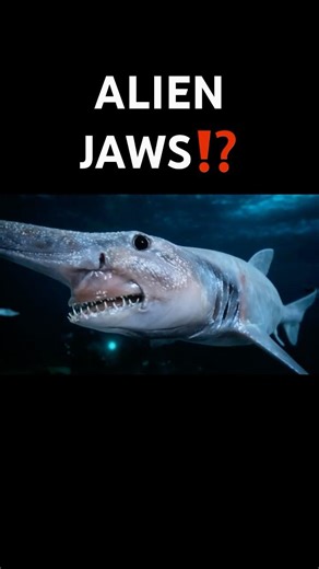 Alien Jaws!? The Truth About the Goblin Shark