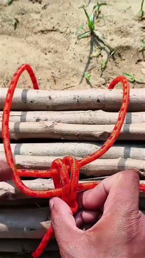 The Best Way to Bind Parallel Wooden Sticks with Ropes (
