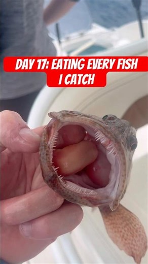 Day 17: Eating every fish I catch #fishing #fish #catchandcook #florida #floridafishing #saltlife