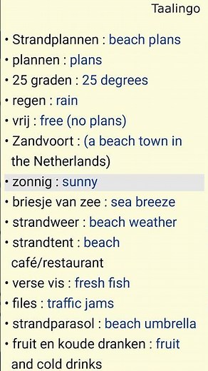 Strandplannen – Dutch Conversation Practice for Beach Planss