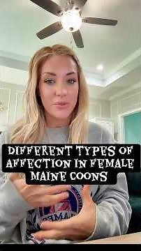 Different Types of Affection in Female Maine Coons 🐾 | Maine Coon Cat Behavior Explained”