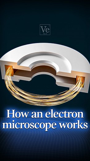 How an Electron Microscope Works: Insights and Basics