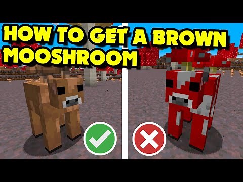 How to Get a BROWN MUSHROOM in Minecraft 1.18+ (Minecraft Tutorial)