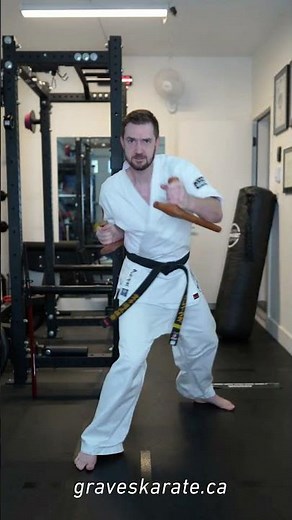 Tonfa Weapons Techniques #martialarts #karate #kobudo #blackbelt