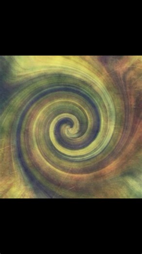 Exploring Whimsical Spirals in Nature