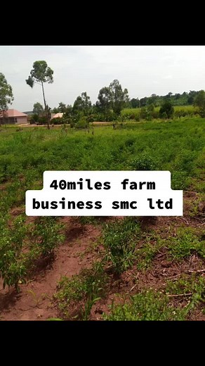 @Fruit of redemption 😘 @Outdoor life experience hall @40miles farm business chilli project 40miles farm business smc Ltd