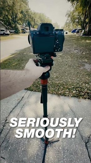 You NEED this Monopod! iFootage Cobra 3