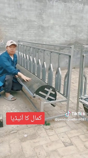 Perfect Goat Care Tips for Successful Farming