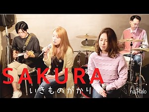 【SAKURA / いきものがかり】SAKURA by Ikimono-gakari【Cover】