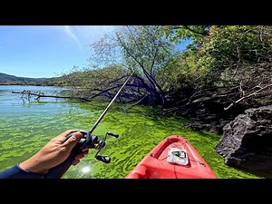 COMO Pescar en Aguas Verdes con Señuelos! | Laguna en el Bosque
