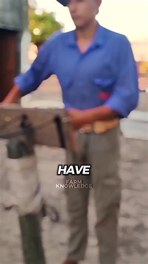 2.7K views · 14 reactions | Homemade rope #farming #trendingshorts #fyp | Farm Knowledge | Facebook