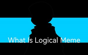 {What Is Logical/ Meme}