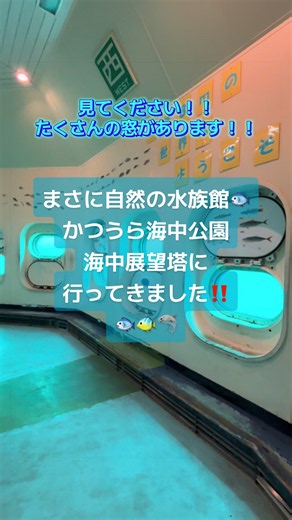かつうら海中公園 海中展望塔｜まさに自然の水族館（水深8m）