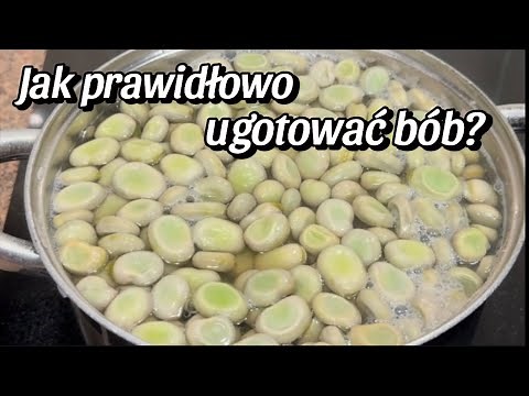 Jak ugotować bób, by był idealny? Gotowanie bobu - krok po kroku.