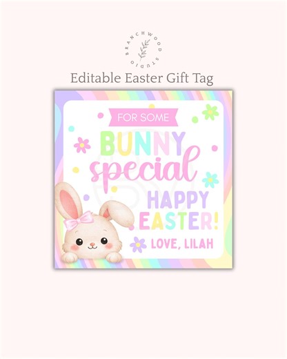 Easter Gift Tag Printable | Some Bunny Special | Kids Easter Tag | Personalized Kids Easter Favor | Class Treat Canva PDF | Multiple Sizes - Etsy